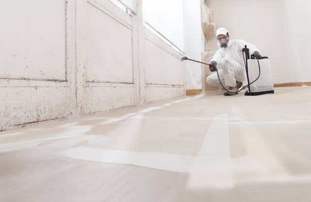 24/7 Emergency Mold Remediation experts in Broadway, VA
