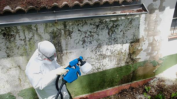 Trusted Mold Remediation service in Broadway, VA - Cheap Mold Removal